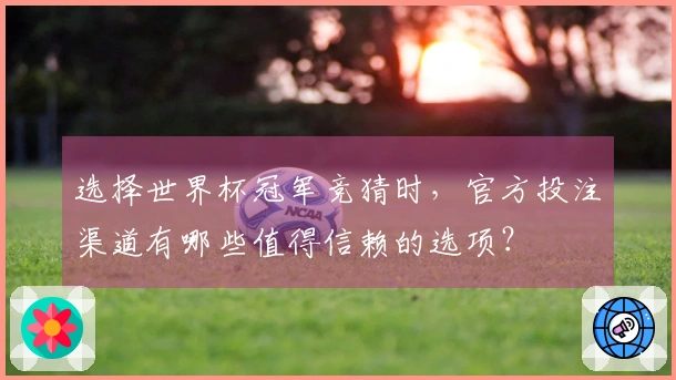 选择世界杯冠军竞猜时，官方投注渠道有哪些值得信赖的选项？
