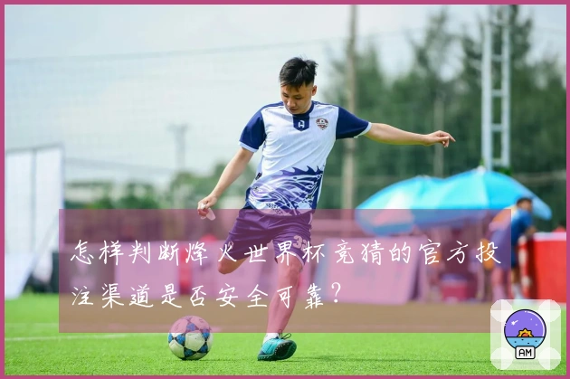 怎样判断烽火世界杯竞猜的官方投注渠道是否安全可靠？