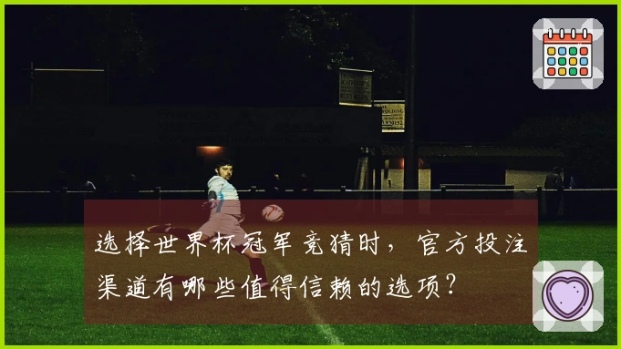 选择世界杯冠军竞猜时，官方投注渠道有哪些值得信赖的选项？