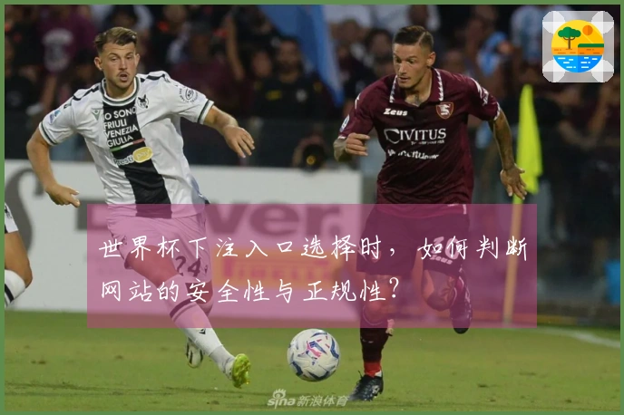世界杯下注入口选择时，如何判断网站的安全性与正规性？